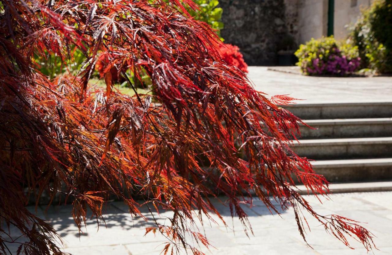 منزل الضيف ثيلانوفا  في Jardines Pazo A Fabrica المظهر الخارجي الصورة